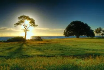 Paisaje jigsaw puzzle