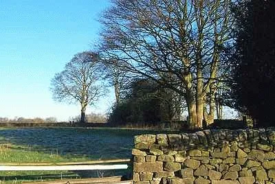 Just A Year Ago at Morley (Jan 2015)