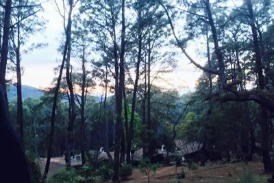 monteverde2
