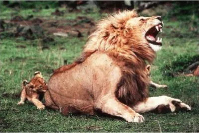 this is daddy-197 jigsaw puzzle