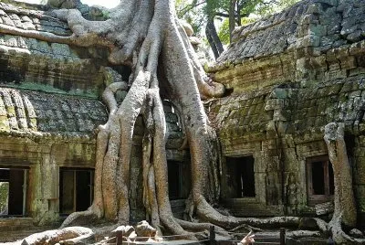 bayon