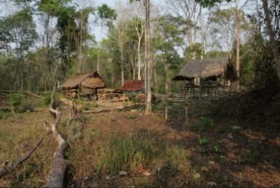 פאזל של virachey national park