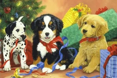 bichos jigsaw puzzle