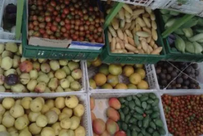 frutas