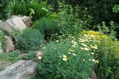 jardÃ­n jigsaw puzzle