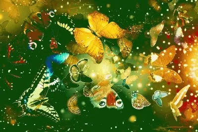 mariposas jigsaw puzzle