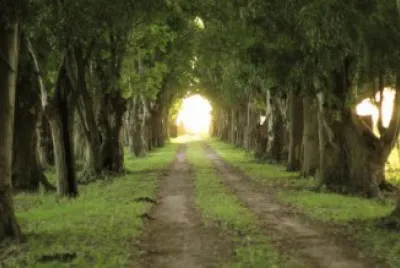 Estancia en ChascomÃºs. Buenos Aires. Argentina