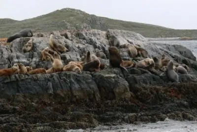 Cerca de Ushuaia. Tierra del Fuego. Argentina