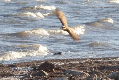 En Ãlamos. Buenos Aires. Argentina