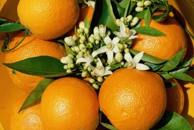 Laranjas