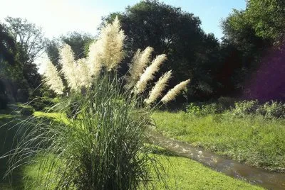 En Calamuchita. CÃ³rdoba. Argentina
