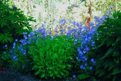 Garden Set Abouts and flowers jigsaw puzzle