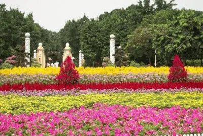 peoples park