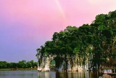 elephant trunk