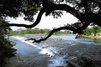 linqu canal