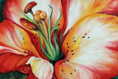 Lily Blossom