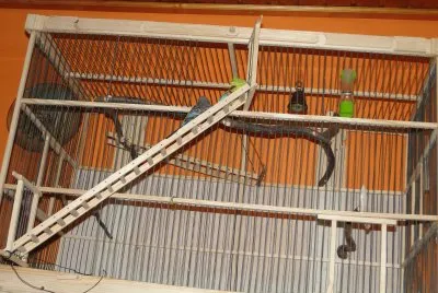 lestev jigsaw puzzle