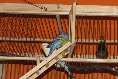 stopnice5 jigsaw puzzle