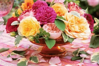 .,jo8b 7g ftcfnm knbutvzd4rt guk m b jigsaw puzzle
