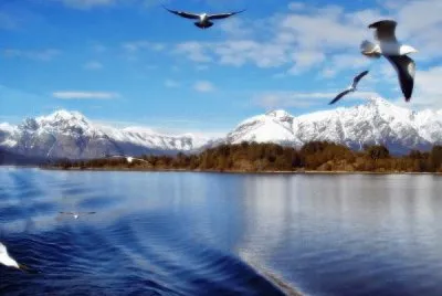 Lago Nahuel Huapi. Patagonia Argentina jigsaw puzzle