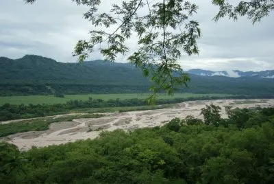 PN Calilegua. Jujuy. Argentina