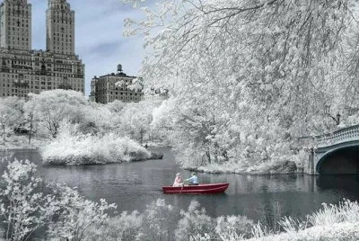 Central Park