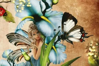 Fadas, duendes e ninfas.