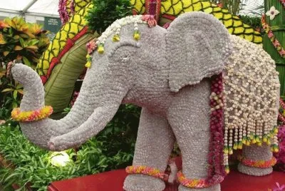 imagens jigsaw puzzle