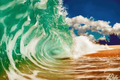 imagens