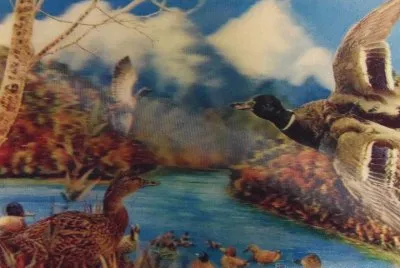 fantasia jigsaw puzzle