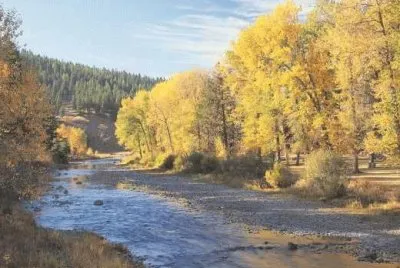 NATUREZA jigsaw puzzle