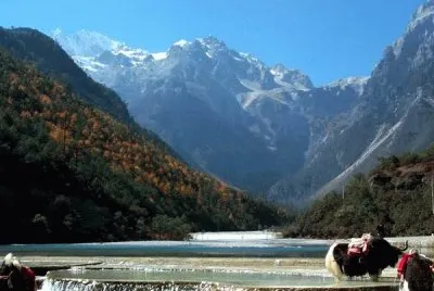 פאזל של yolong snow mountain