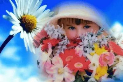 imagens