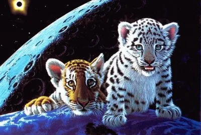 פאזל של nb iuk.m ztv rcfvhbhg z