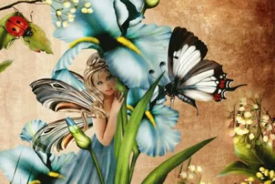 Fadas, duendes e ninfas.