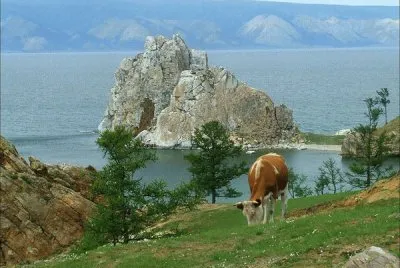 פאזל של NATUREZA