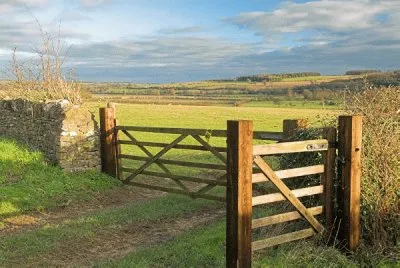 NATUREZA jigsaw puzzle