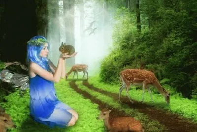 פאזל של fantasia