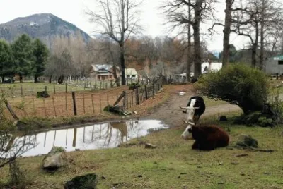 פאזל של Cerca de San MartÃ­n de los Andes. NeuquÃ©n. Argentina