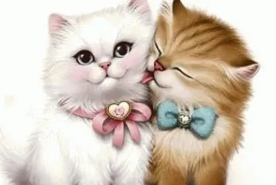 פאזל של imagens