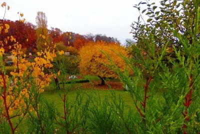 Automne 2015