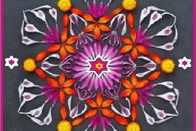 lily6