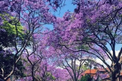 ä¸–ç•Œé¢¨æ™¯
