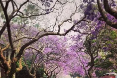ä¸–ç•Œé¢¨æ™¯