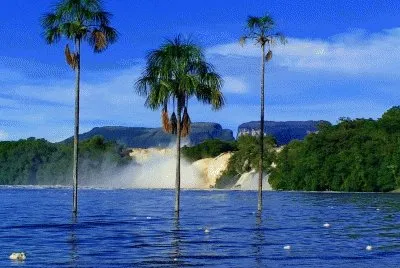 vzla