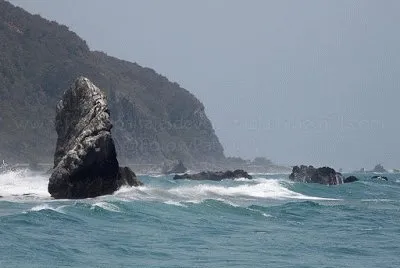 vzla