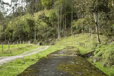 vzla
