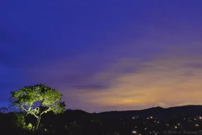 vzla