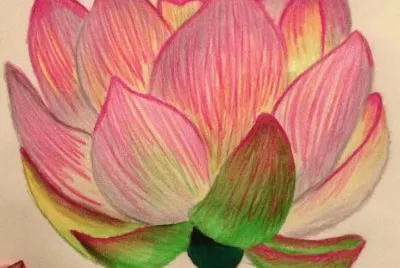 Lotus Flower