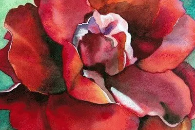 Red Rose
